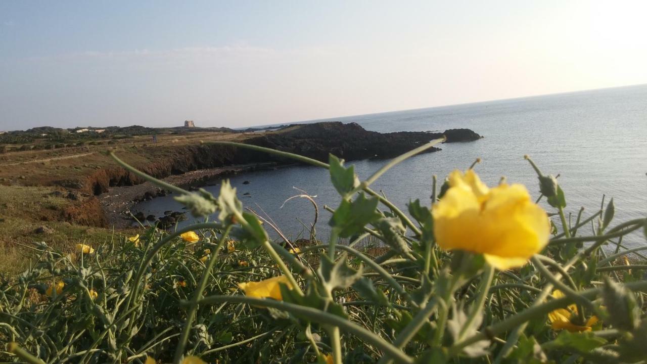 Agriturismo Pagliuzzo Villa Isola di Ustica Buitenkant foto