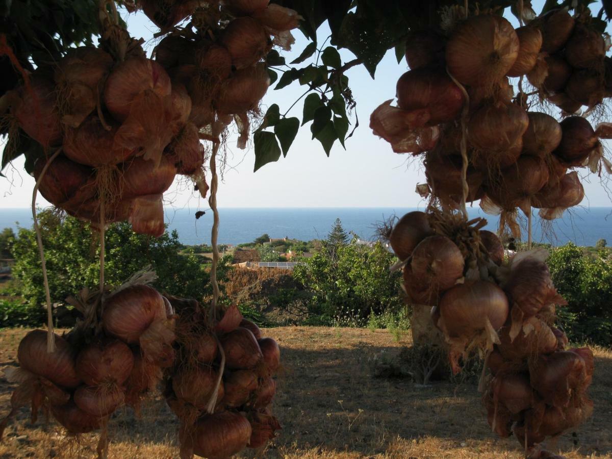 Agriturismo Pagliuzzo Villa Isola di Ustica Buitenkant foto